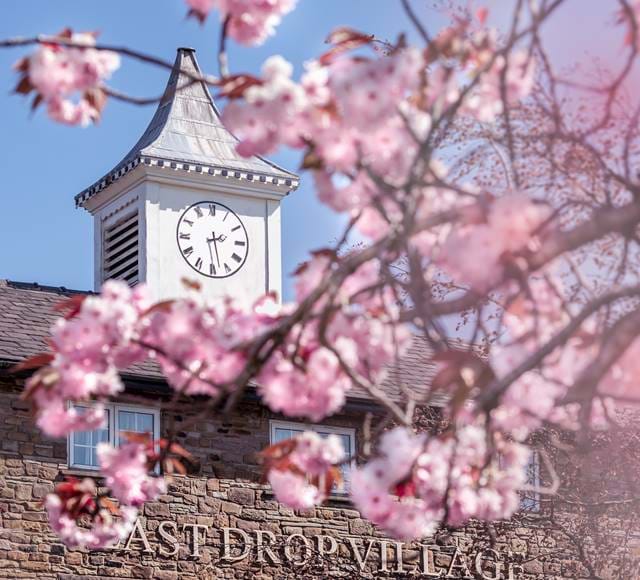 Clock Tower